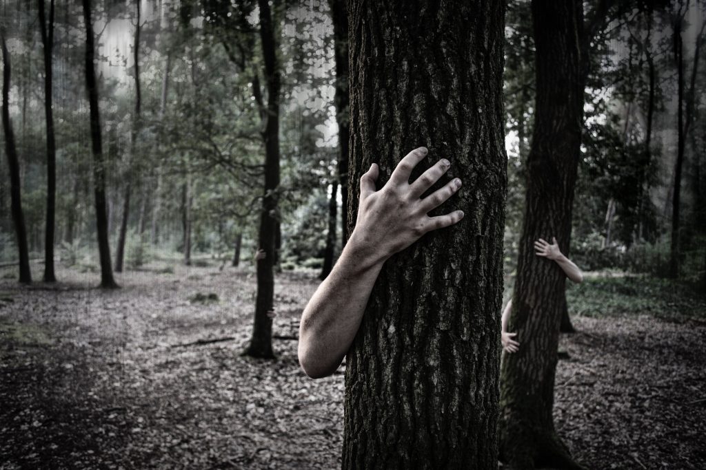 Zombie arms hugging trees in forest